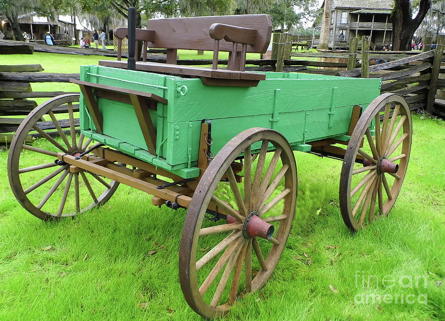 A Green Wagon Photograph by D Hackett