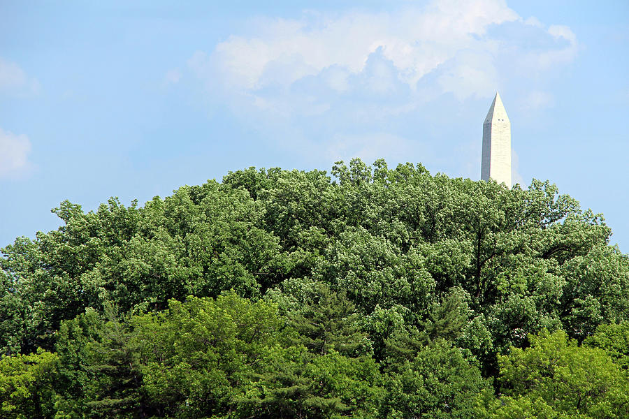 A Green Washington Monument Photograph by Cora Wandel