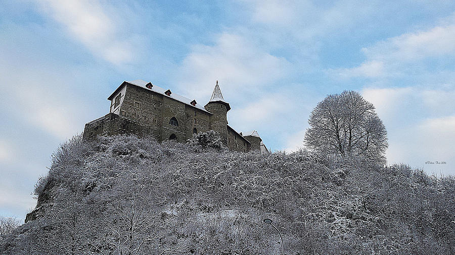 A greet from Burgdorf castle Photograph by Felicia Tica