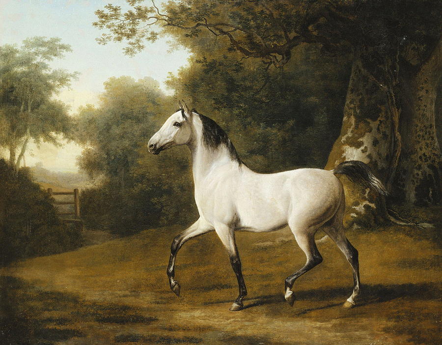 A Grey Arab Stallion In A Wooded Landscape Painting by Jacques Laurent ...