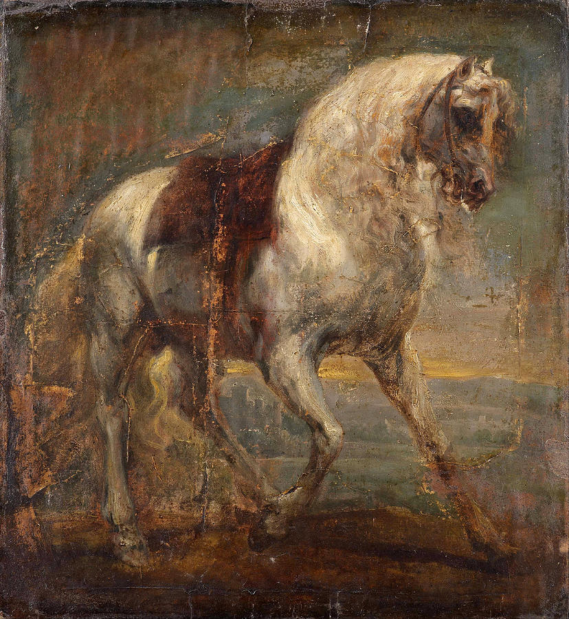 A Grey Horse Painting by Anthony van Dyck