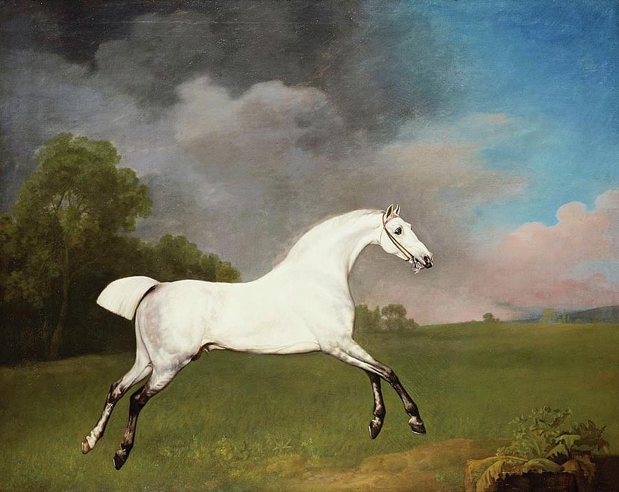  A Grey Horse Painting by George Stubbs
