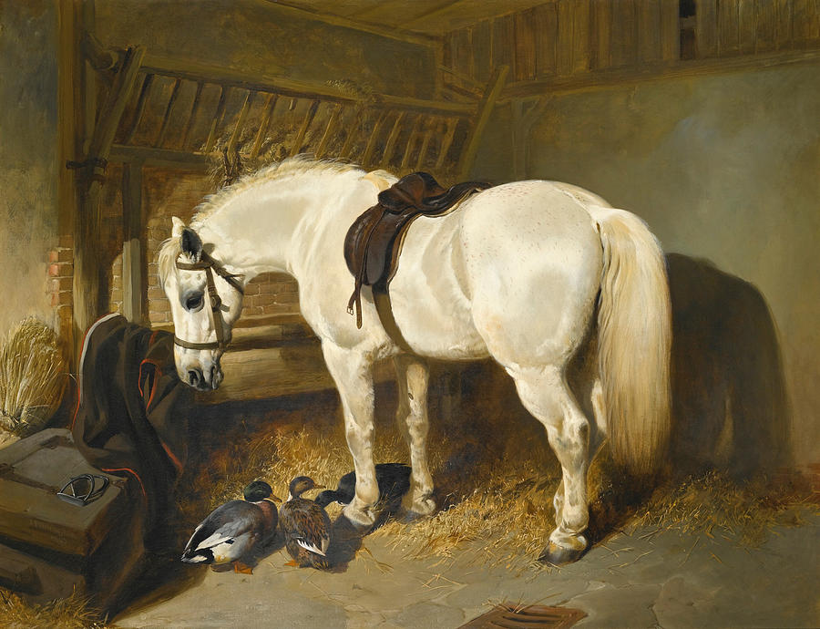 A Grey Pony in a Stable with Ducks Painting by John Frederick Herring Sr