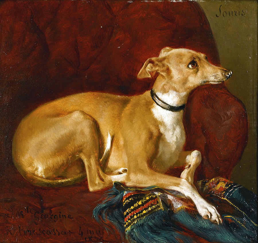 A Greyhound resting on the a chair Painting by Jacques Raymond Brascassat