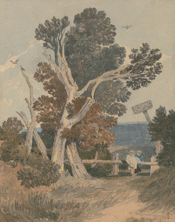 A Group of Trees by a Fence Painting by John Sell Cotman