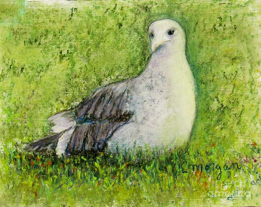 A Gull On The Grass Painting by Laurie Morgan
