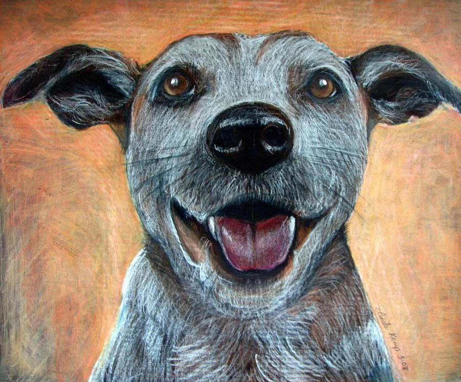 A Happy Mutt Drawing by Linda Nielsen