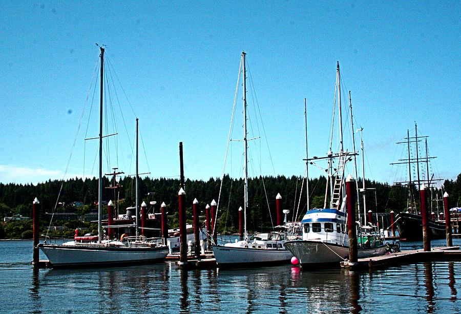 A Harbor View - Florence OR Photograph by Joseph Coulombe