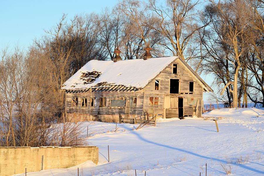 A Hard Life Winter Photograph by Bonfire Photography