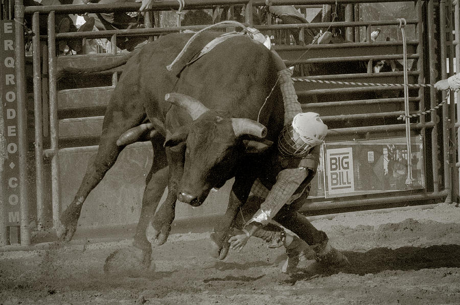Bull Riding Photograph - Rodeo A Hard Way to Make a Living 5 by Mark Linton