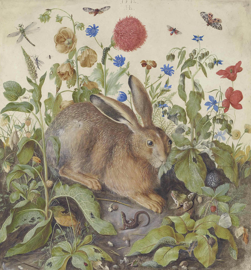 Rabbit Painting - A Hare Among Plants by Hans Hoffman