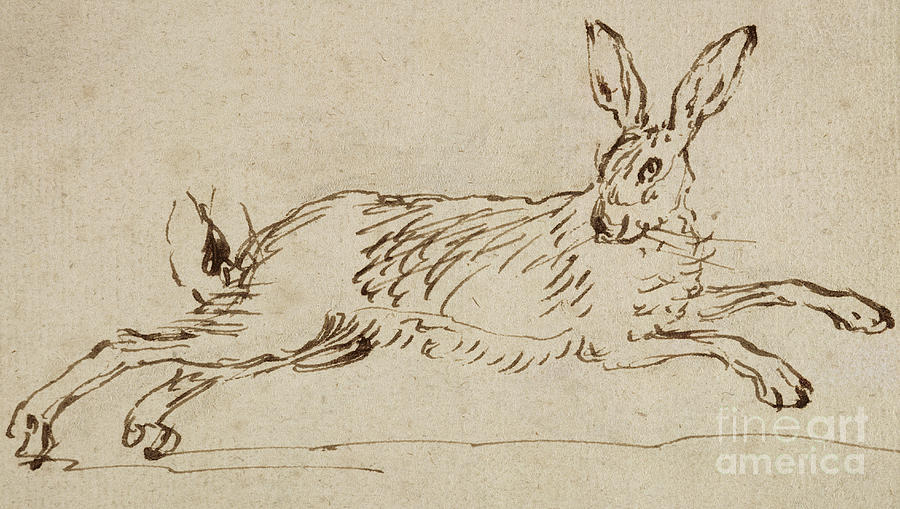 Rabbit Drawing - A Hare Running, With Ears Pricked  by James Seymour
