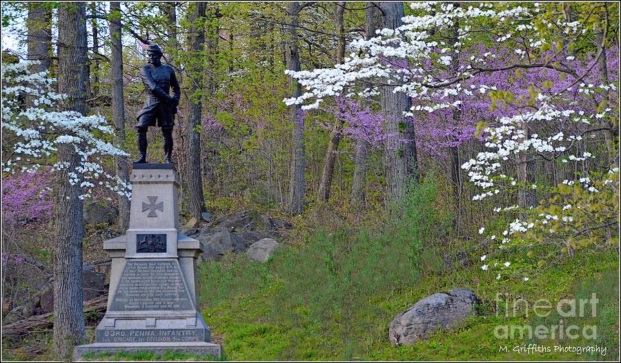 Gettysburg National Park Photograph - A Hero Remembered by Michael Griffiths