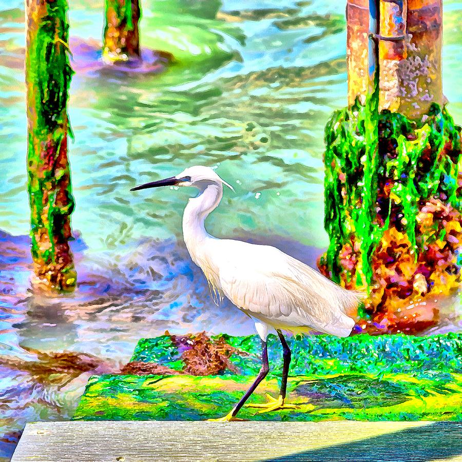 a heron is walking on a stair about the Grand Canal Digital Art by Gina Koch