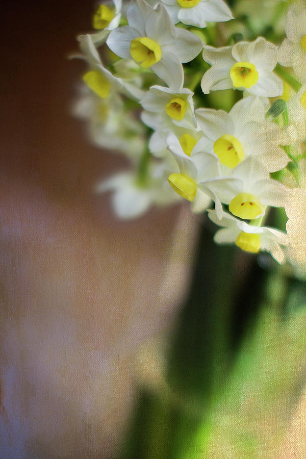 Spring Photograph - A Hint of Spring by Rebecca Cozart