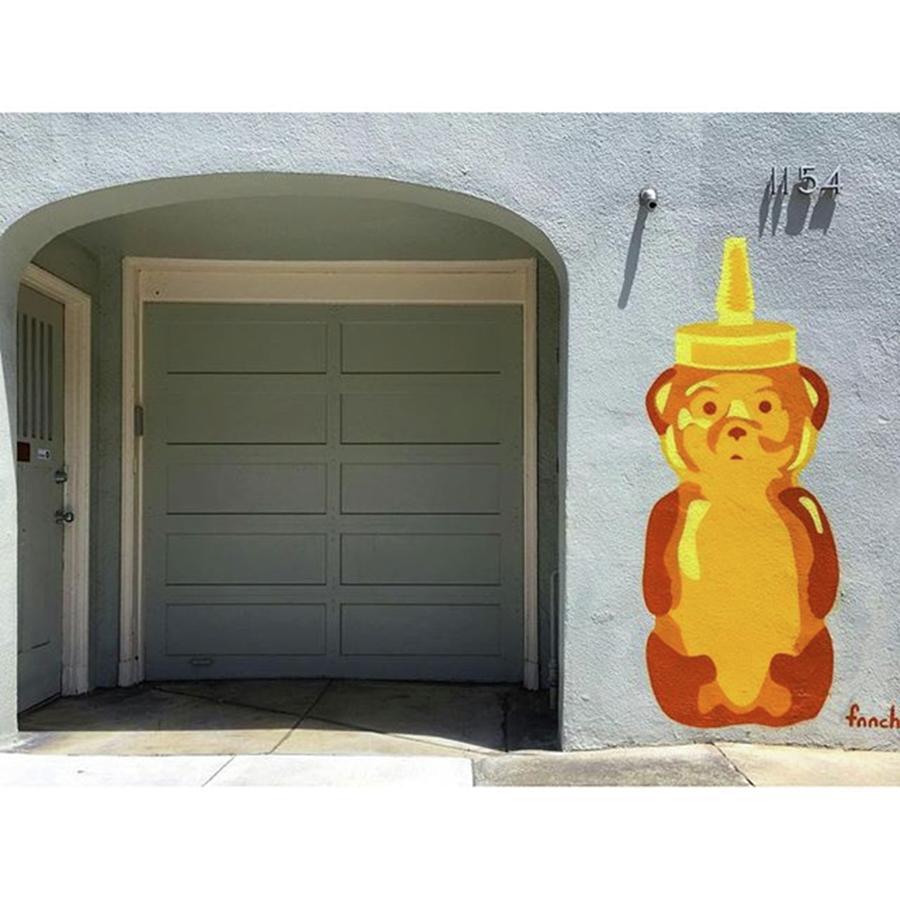 A Honey Bear By Urban Artist  @fnnch On Photograph by Michael Victor