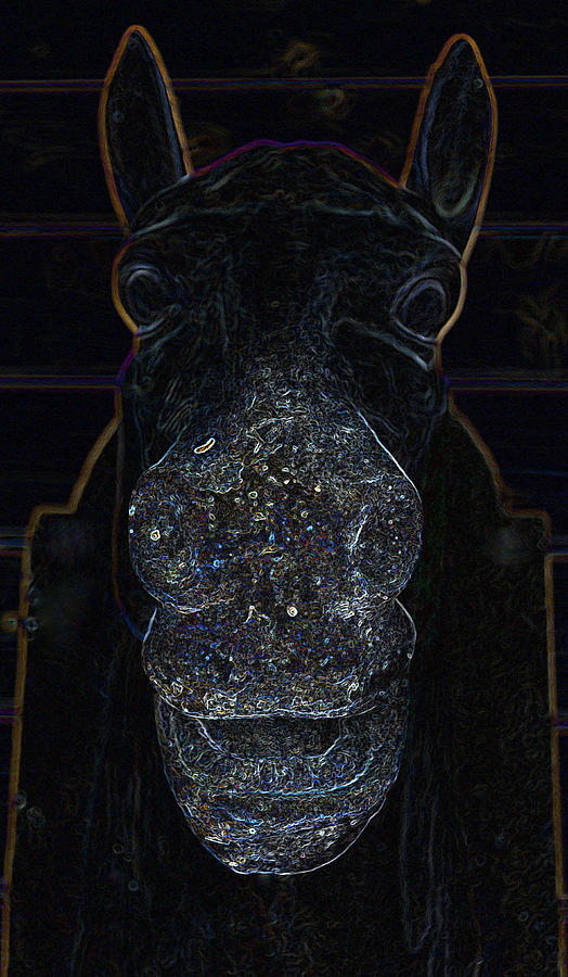 A Horse is a Horse of Course of Course Photograph by James La Mere