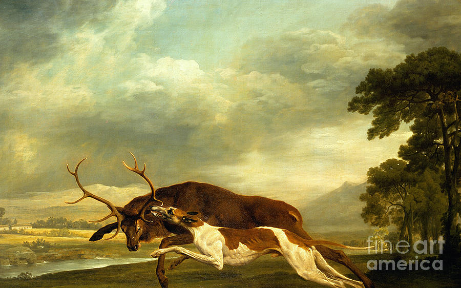 A Hound attacking a stag Painting by George Stubbs