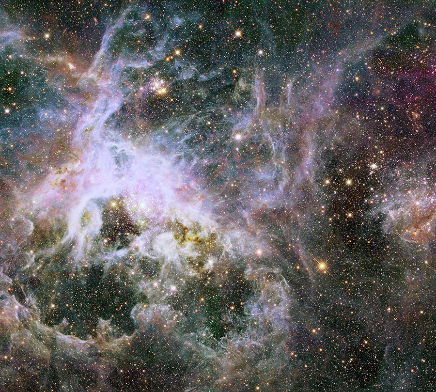 A Hubble Infrared View of the Tarantula Nebula Photograph by Eric Glaser