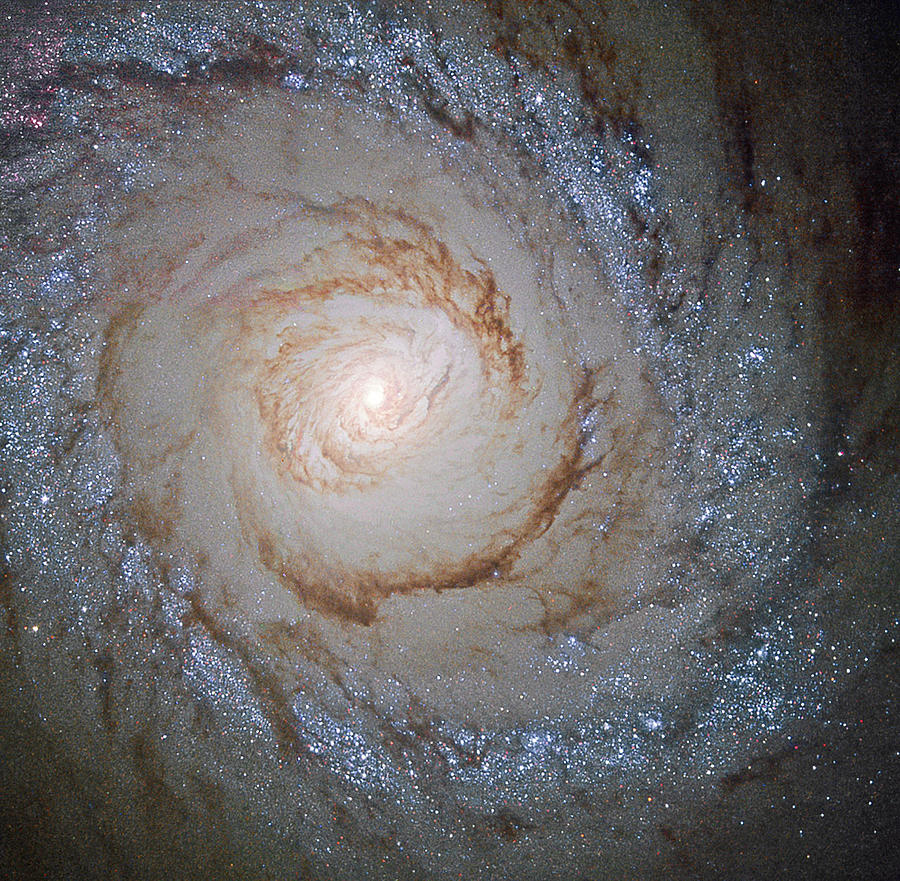 A Hubble View of Starburst Galaxy Messier 94 Photograph by Eric Glaser