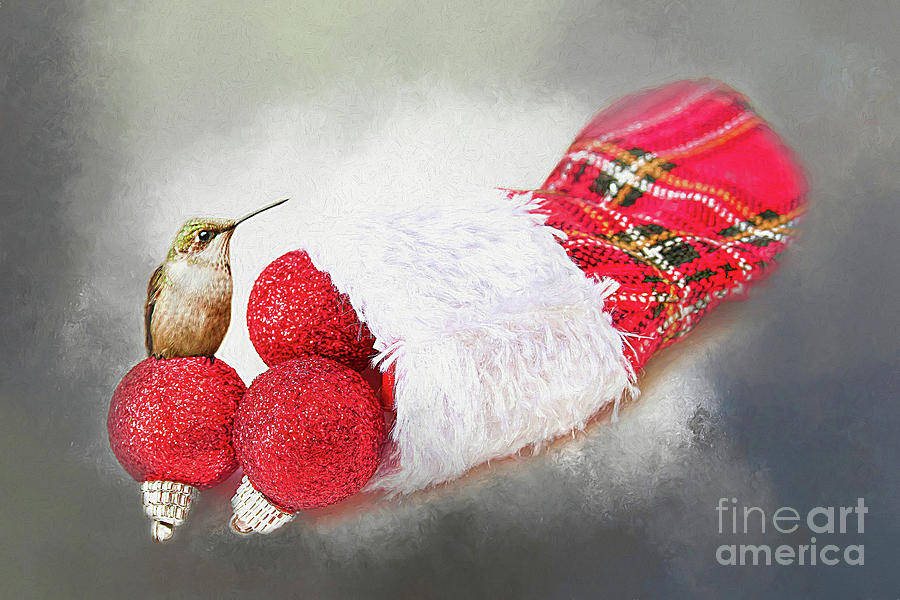 A Hummer of a Christmas Photograph by Darren Fisher