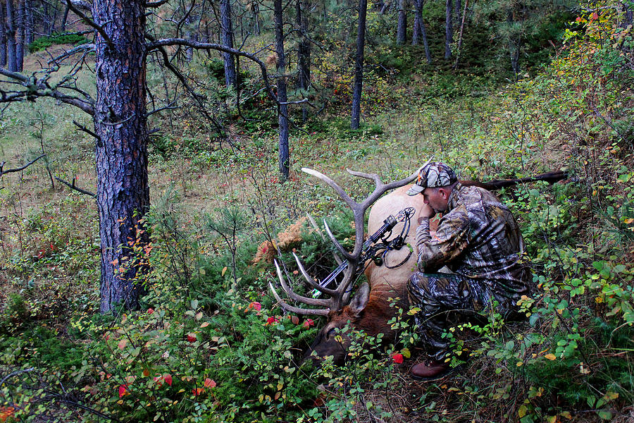 A Hunters Prayer Photograph by Brook Burling