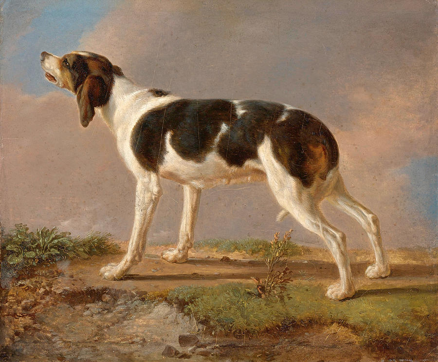 A Hunting Dog Painting by Jacques-Laurent Agasse