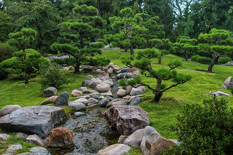 A Japanese Garden Photograph by Robert McKinstry