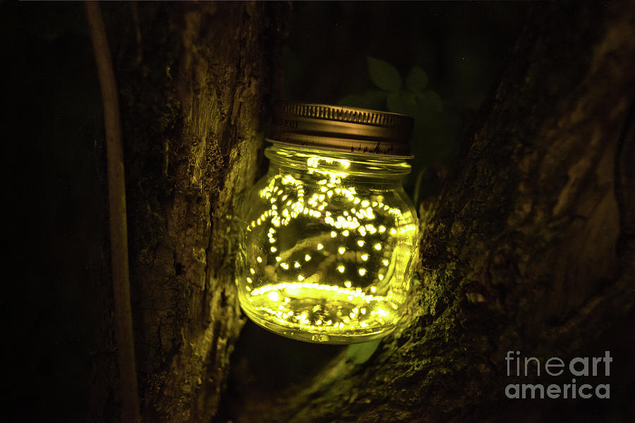 a-jar-of-fireflies-paolo-sirtori.jpg