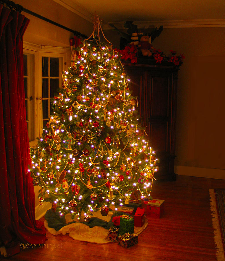 A Jewel of a Christmas Tree Photograph by Susan Vineyard