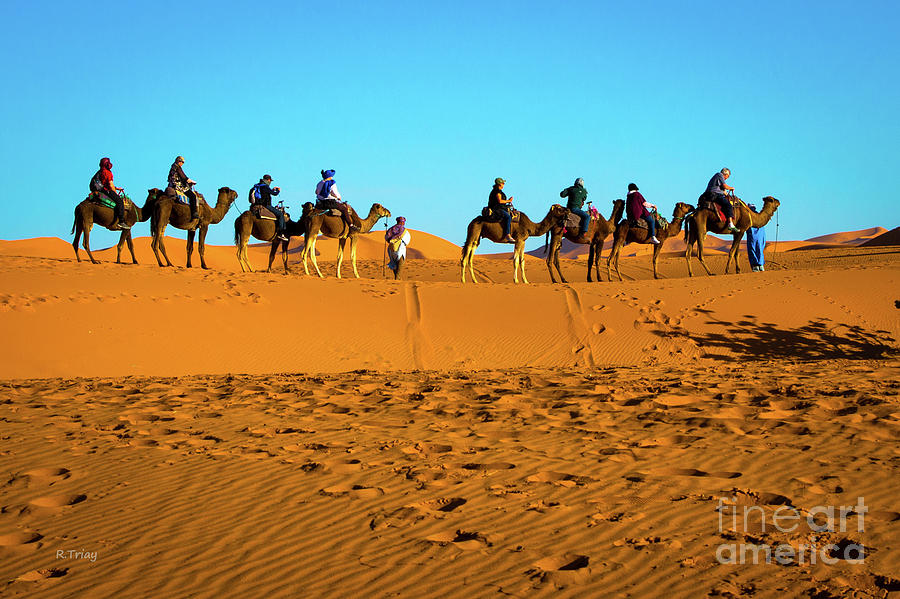 A Journey in the Saharas Warm Desert Sands Photograph by Rene Triay FineArt Photos