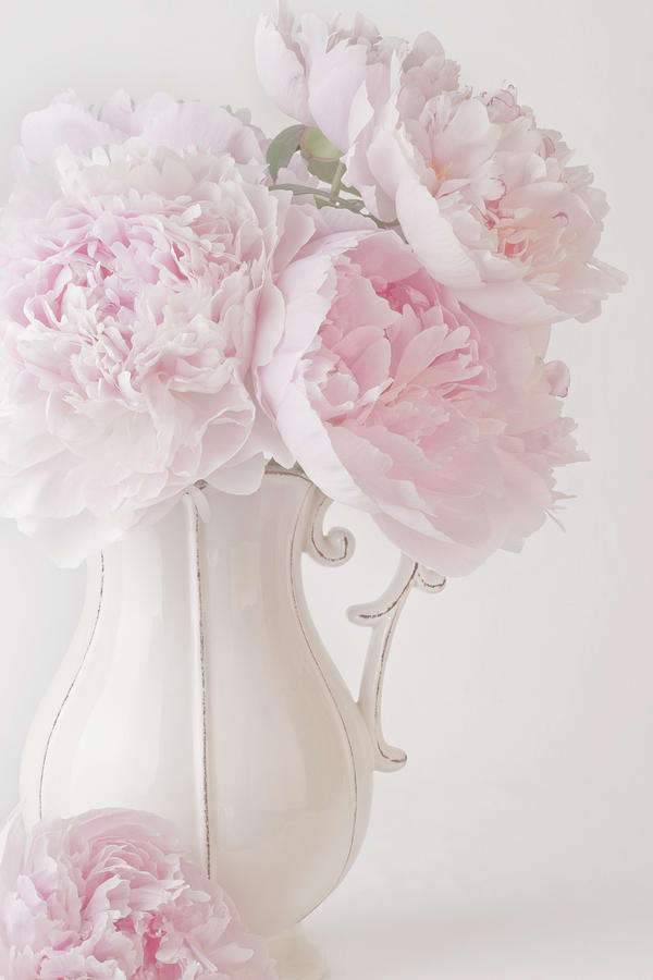 A Jug Of Soft Pink Peonies Photograph by Sandra Foster