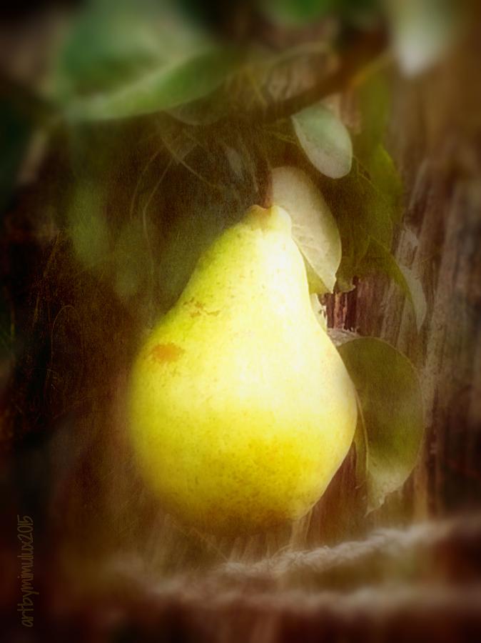 A Juicy Fruit Photograph by Mimulux Patricia No