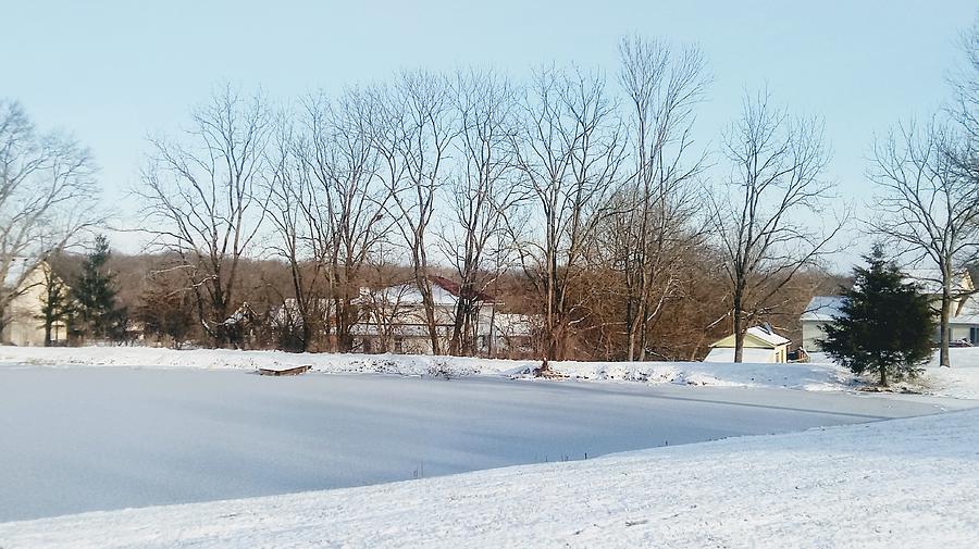 A Kentucky Winter Photograph By Lisa Board - Fine Art America