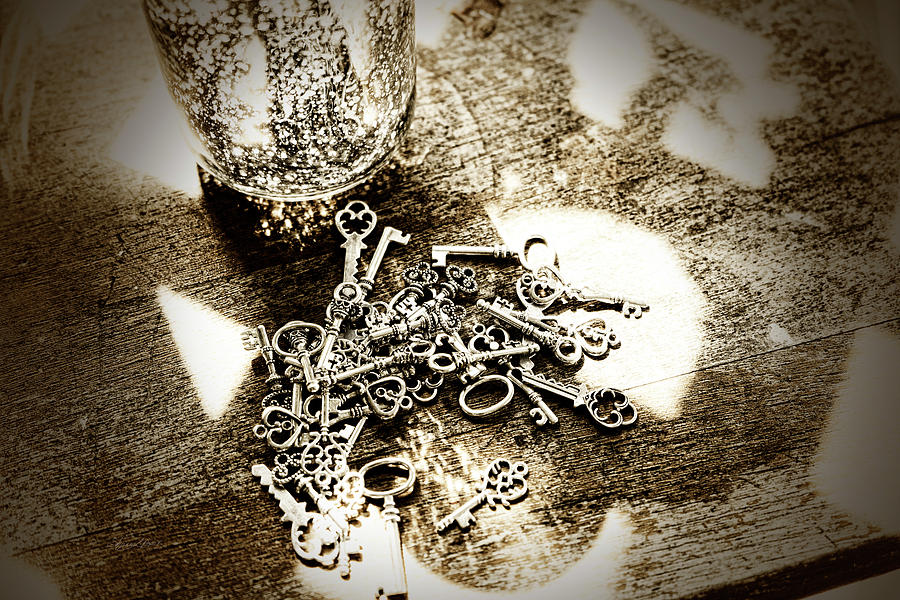 A Key in a Keystack Photograph by Sharon Popek