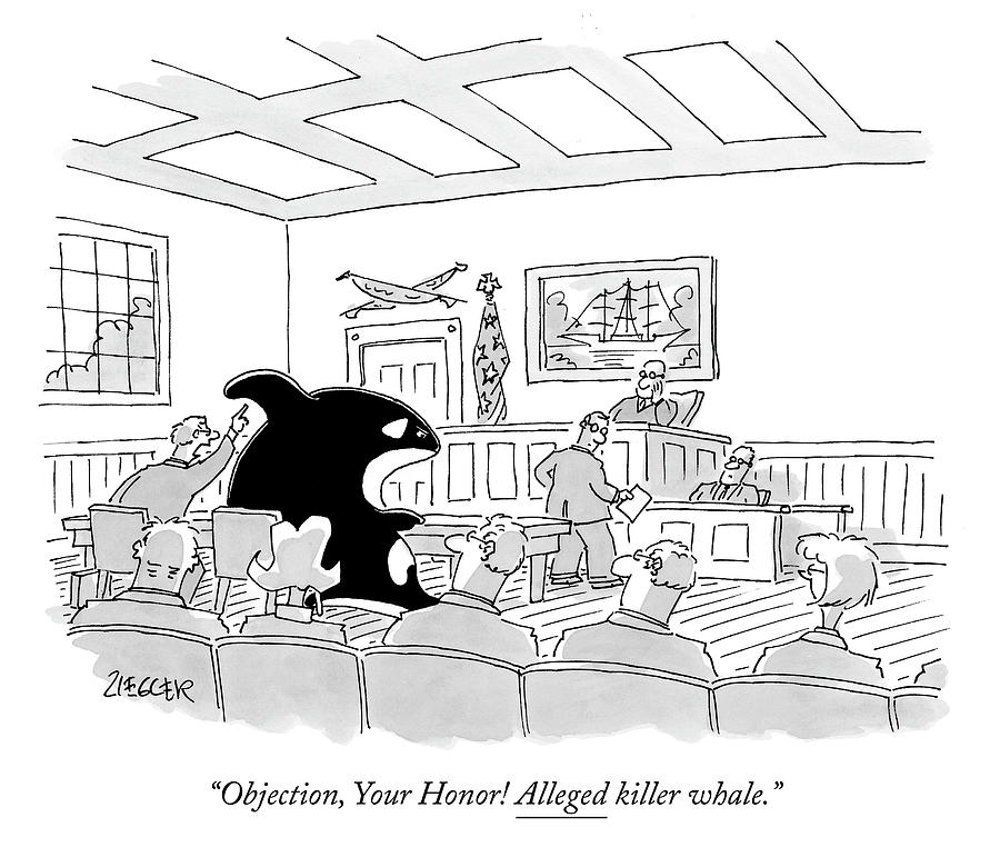 A Killer Whale Is In Court Drawing by Jack Ziegler