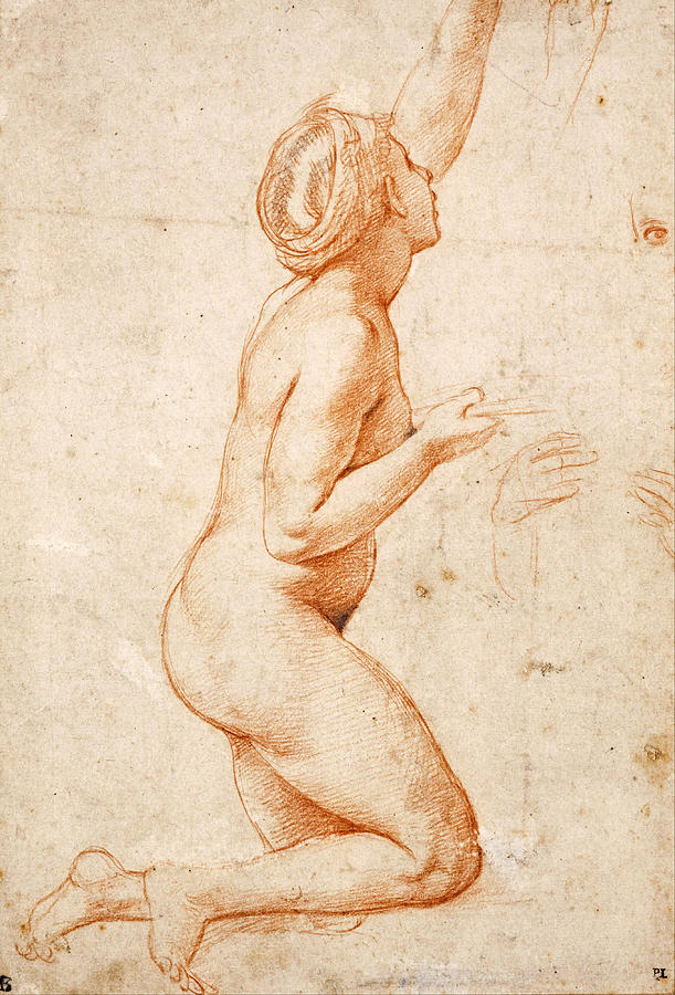 Raphael Drawing - A Kneeling Nude Woman with her Left Arm Raised  by Raphael