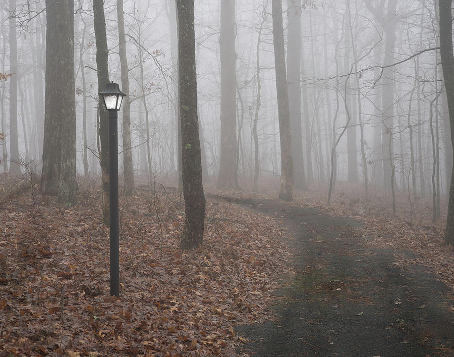 A Lamp Unto my Path Photograph by Douglas Barnett