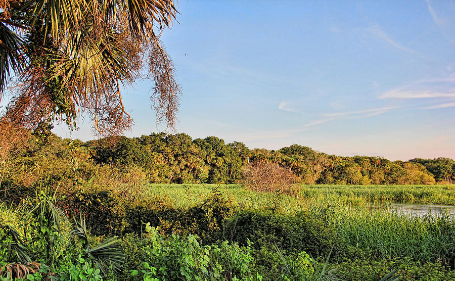 A Land Called Myakka 5 Photograph by HH Photography of Florida