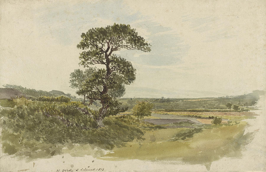 Nature Painting - A Landscape in Snowdonia with a Tree in the Foreground by John Linnell