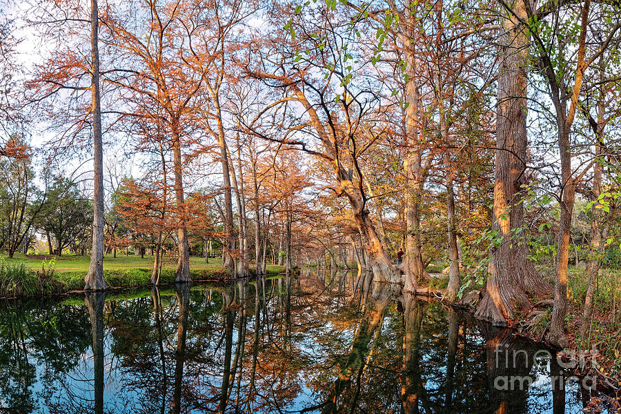 A late afternoon photograph of Blue Hole Regional Park in Wimberley - Texas Hill Country Photograph by Silvio Ligutti
