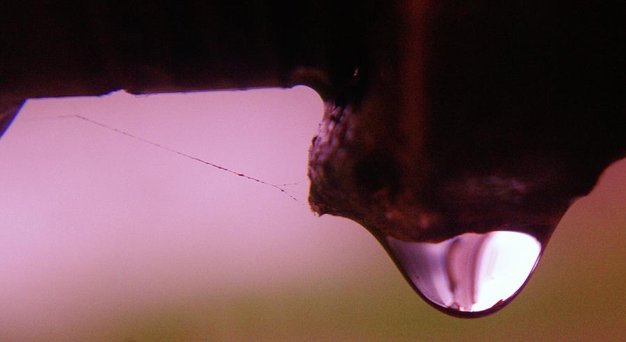 A Leaky Faucet Photograph