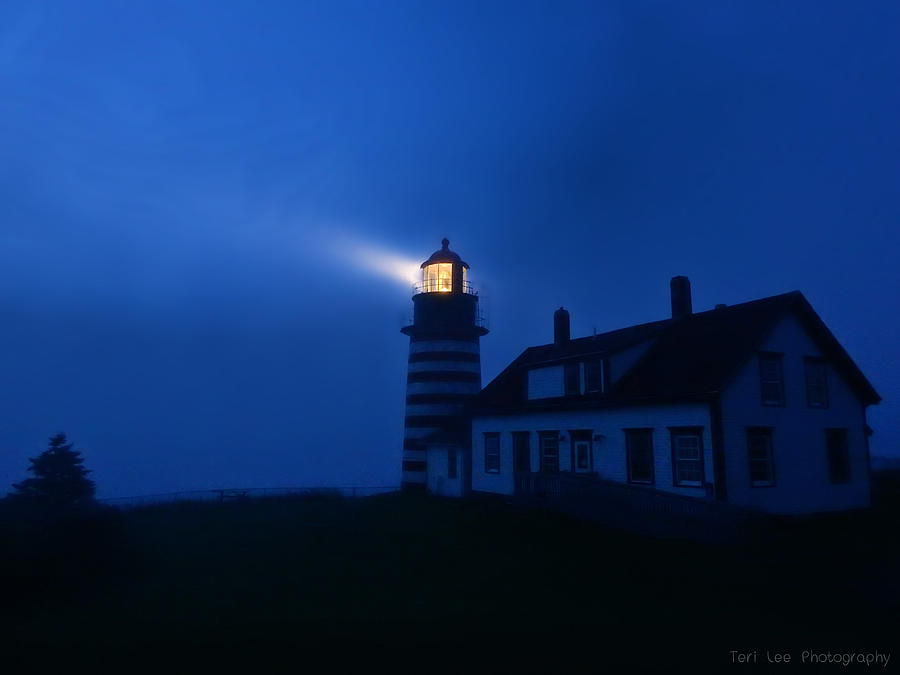 A Light in the Darkness by Teri Ridlon A Light in the Darkness by Teri Ridlon
