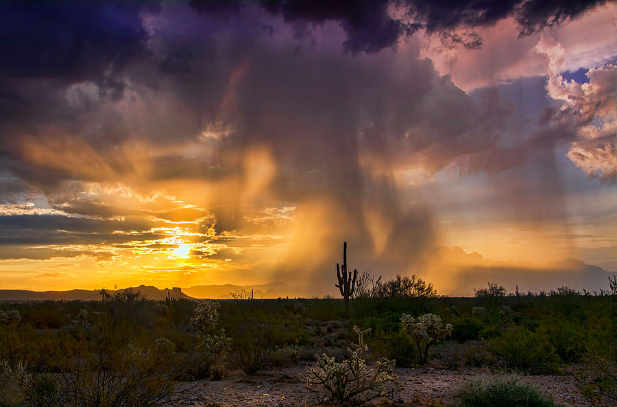 A Light Morning Rain Photograph by Saija Lehtonen - Fine Art America