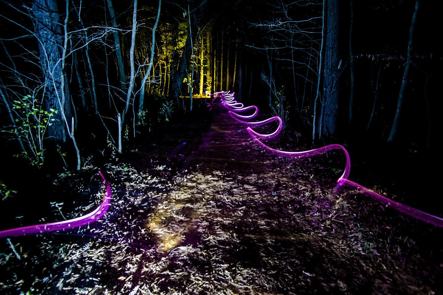 A light painted trail at night  Photograph by Sven Brogren