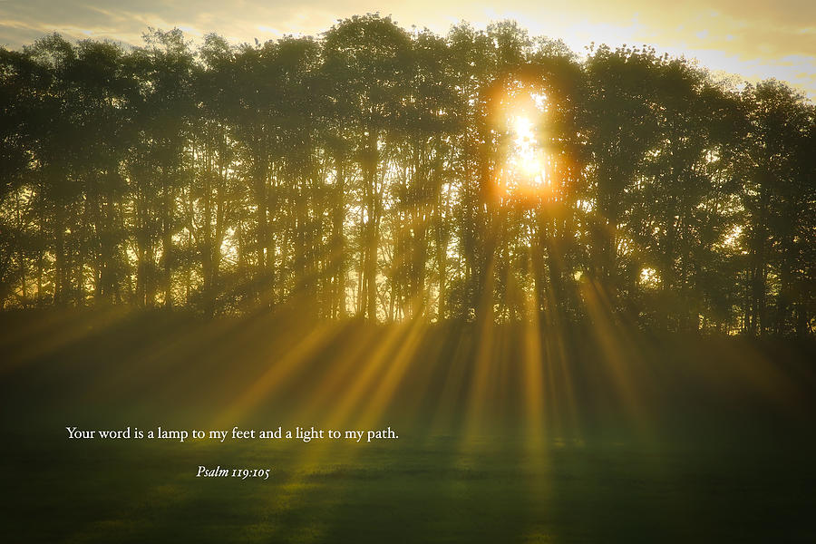 A light to my path Photograph by Lynn Hopwood