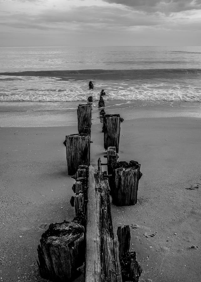 A Line in the Sand Photograph by Hermes Fine Art