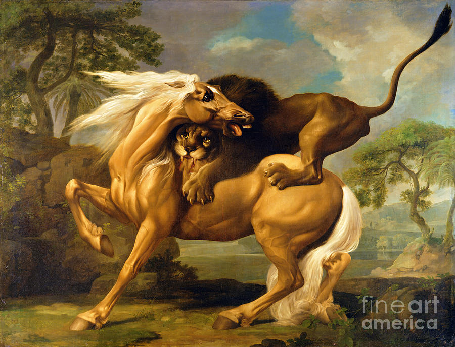 Lion Painting - A Lion Attacking a Horse by George Stubbs