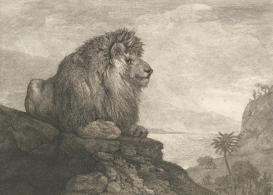 A Lion  Relief by George Stubbs