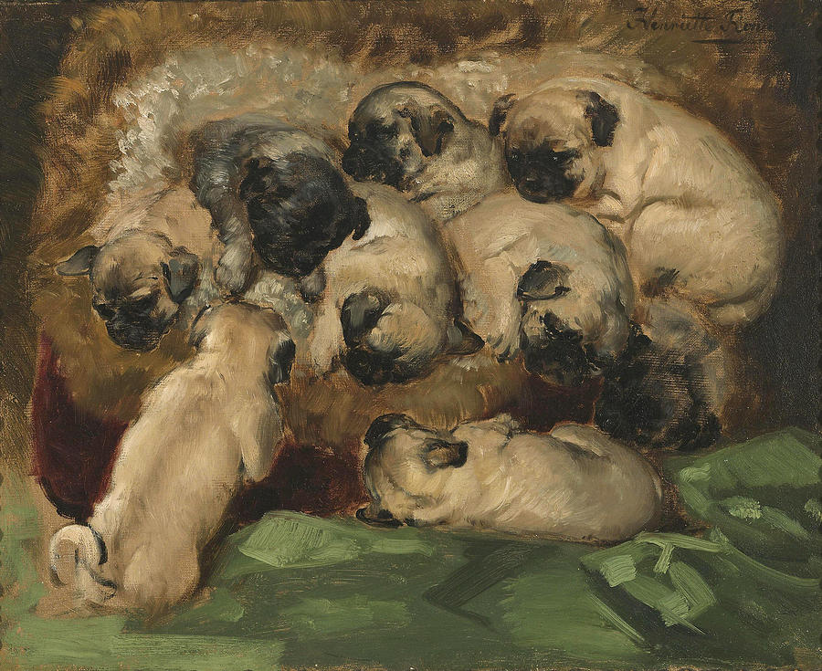 A Litter of Pugs Painting by Henriette Ronner-Knip